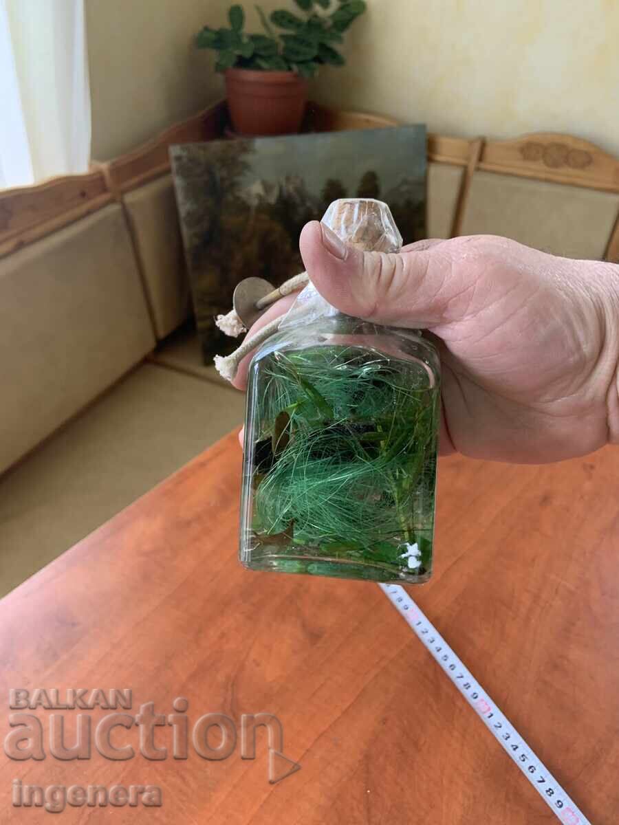 Аукцион ШИШЕ С ВОДОРАСЛИ И ТЕЧНОСТ СТЪКЛО СУВЕНИР