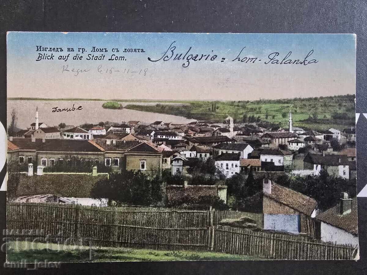 Scrap - view of the city and vineyards Scrap - view of the city and vineyards