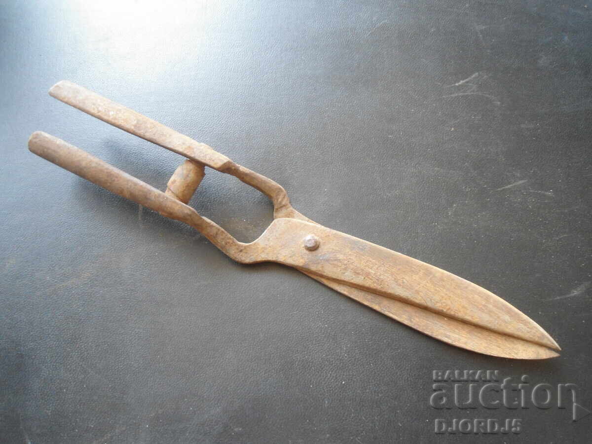 Livrarea Foarfece vechi forjate Livrarea Foarfece vechi forjate