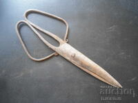 Old forged scissors