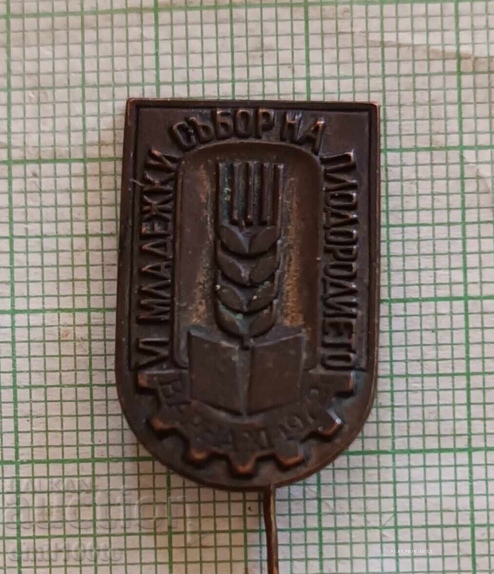 Insigna - Întrunire de tineret pentru rodnicie Varna 1972