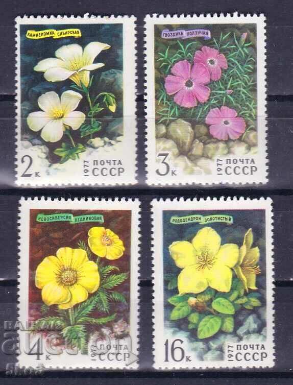 ΕΣΣΔ - 1977 - ΛΟΥΛΟΥΔΙΑ - **/MNH