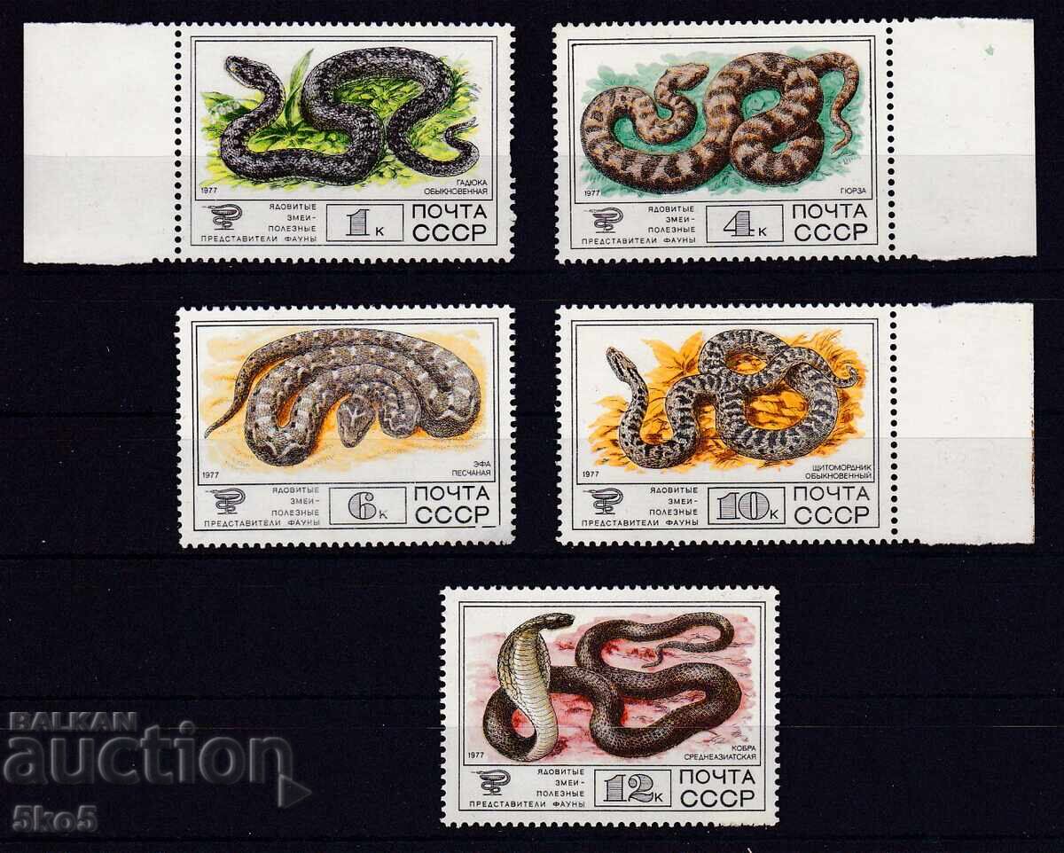 URSS - 1977 - Șerpi - **/MNH