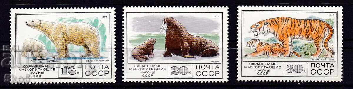 Σ.Σ.Σ.Ρ. - 1977 - ΖΩΑ - **/MNH