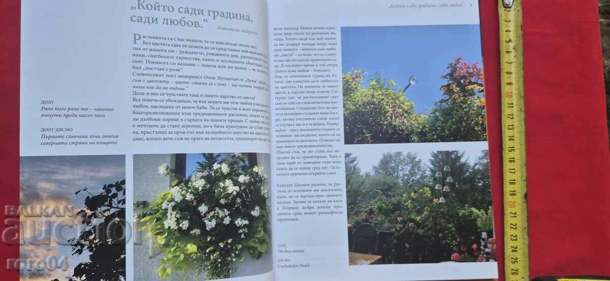 COLORFUL SPLENDOR - RUTH PODGORNIK'S WORK - 5 COLORFUL SPLENDOR - RUTH PODGORNIK'S WORK - 5