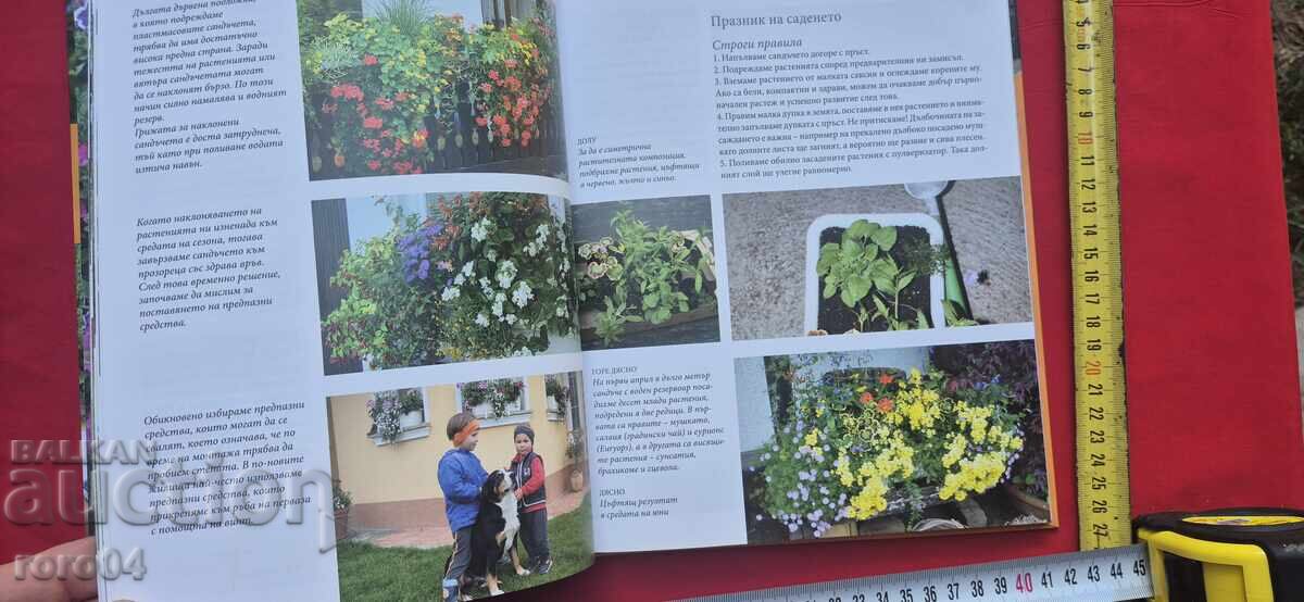 COLORFUL SPLENDOR - RUTH PODGORNIK'S WORK - 6 COLORFUL SPLENDOR - RUTH PODGORNIK'S WORK - 6