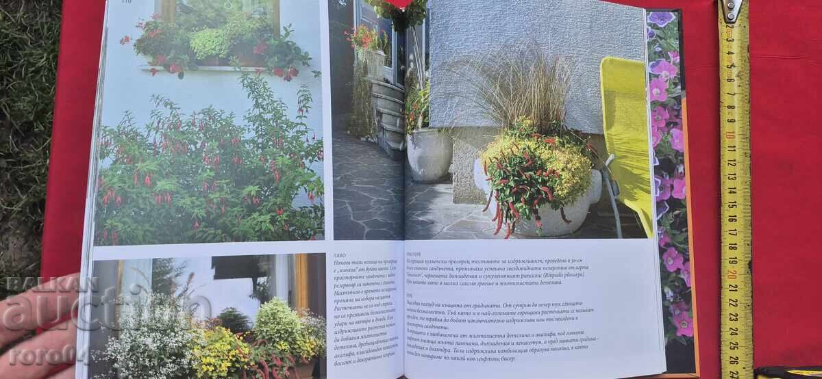 COLORFUL SPLENDOR - RUTH PODGORNIK'S WORK - 7 COLORFUL SPLENDOR - RUTH PODGORNIK'S WORK - 7