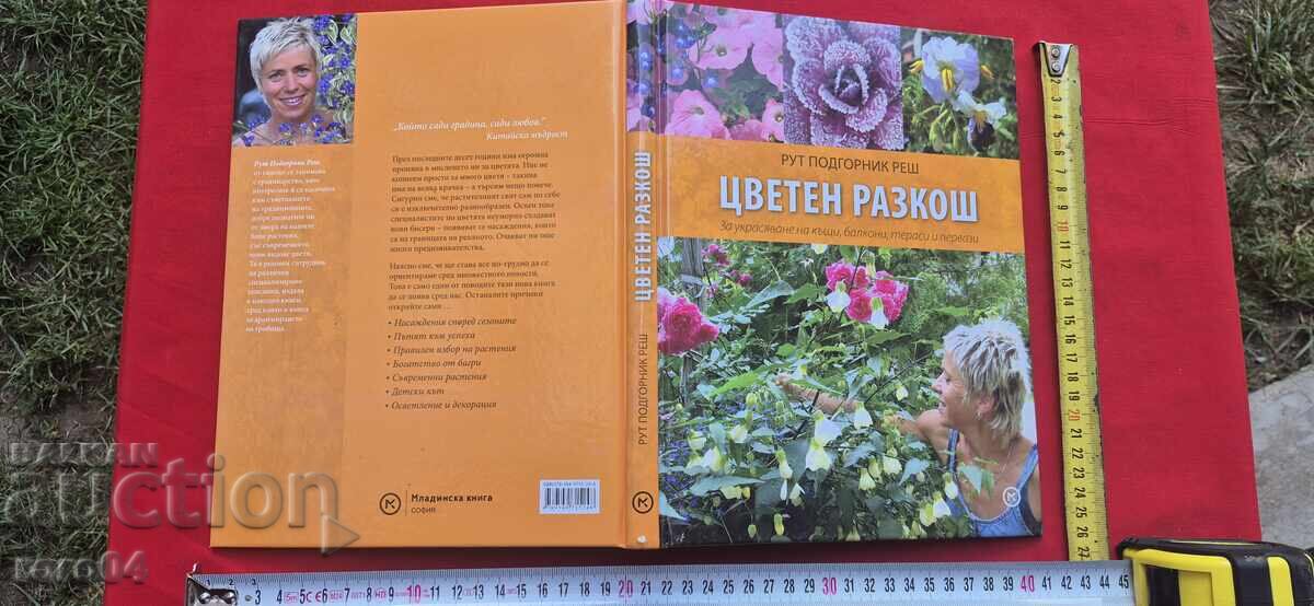 COLORFUL SPLENDOR - RUTH PODGORNIK'S WORK COLORFUL SPLENDOR - RUTH PODGORNIK'S WORK