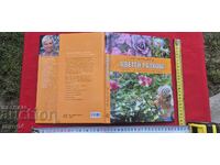 COLORFUL SPLENDOR - RUTH PODGORNIK'S WORK