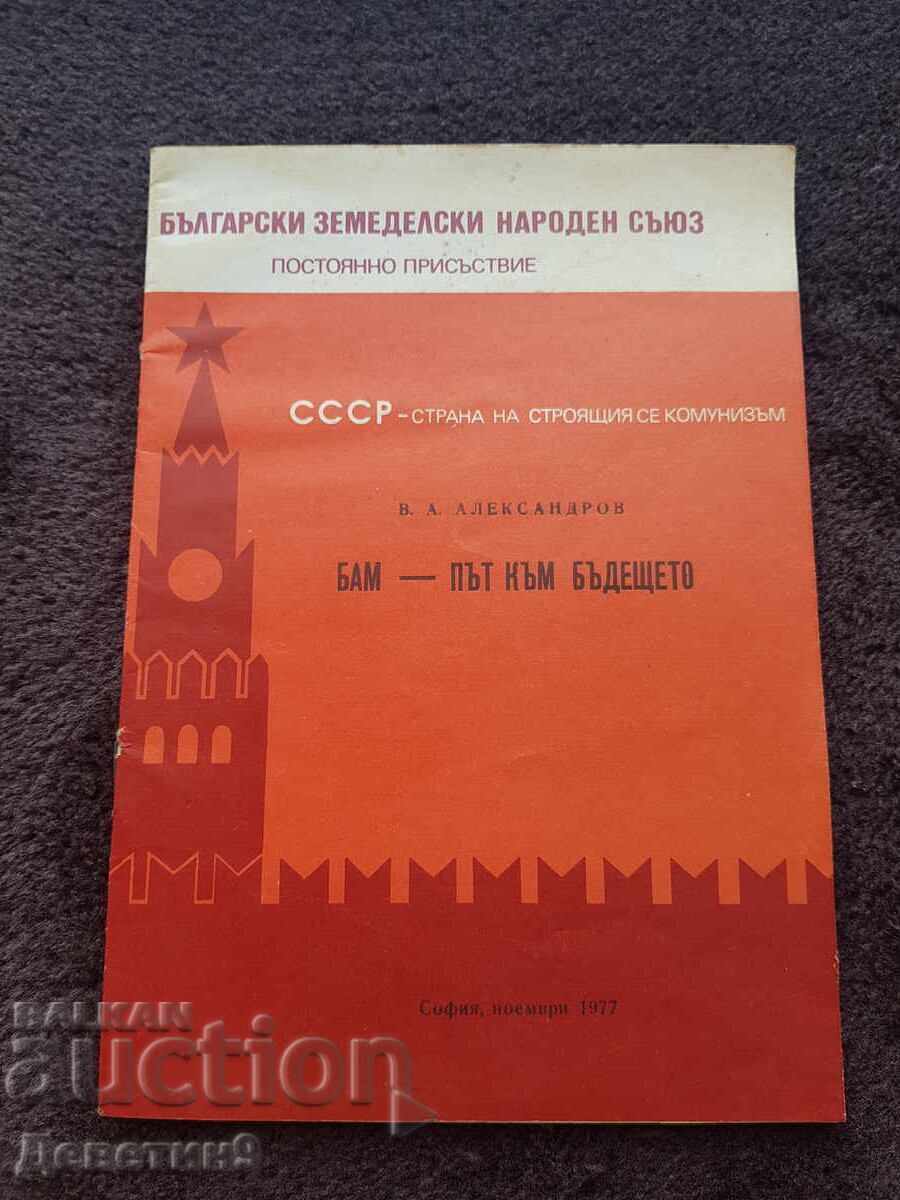 BZNS Constant Presence - V. Alexandrov, November 1977