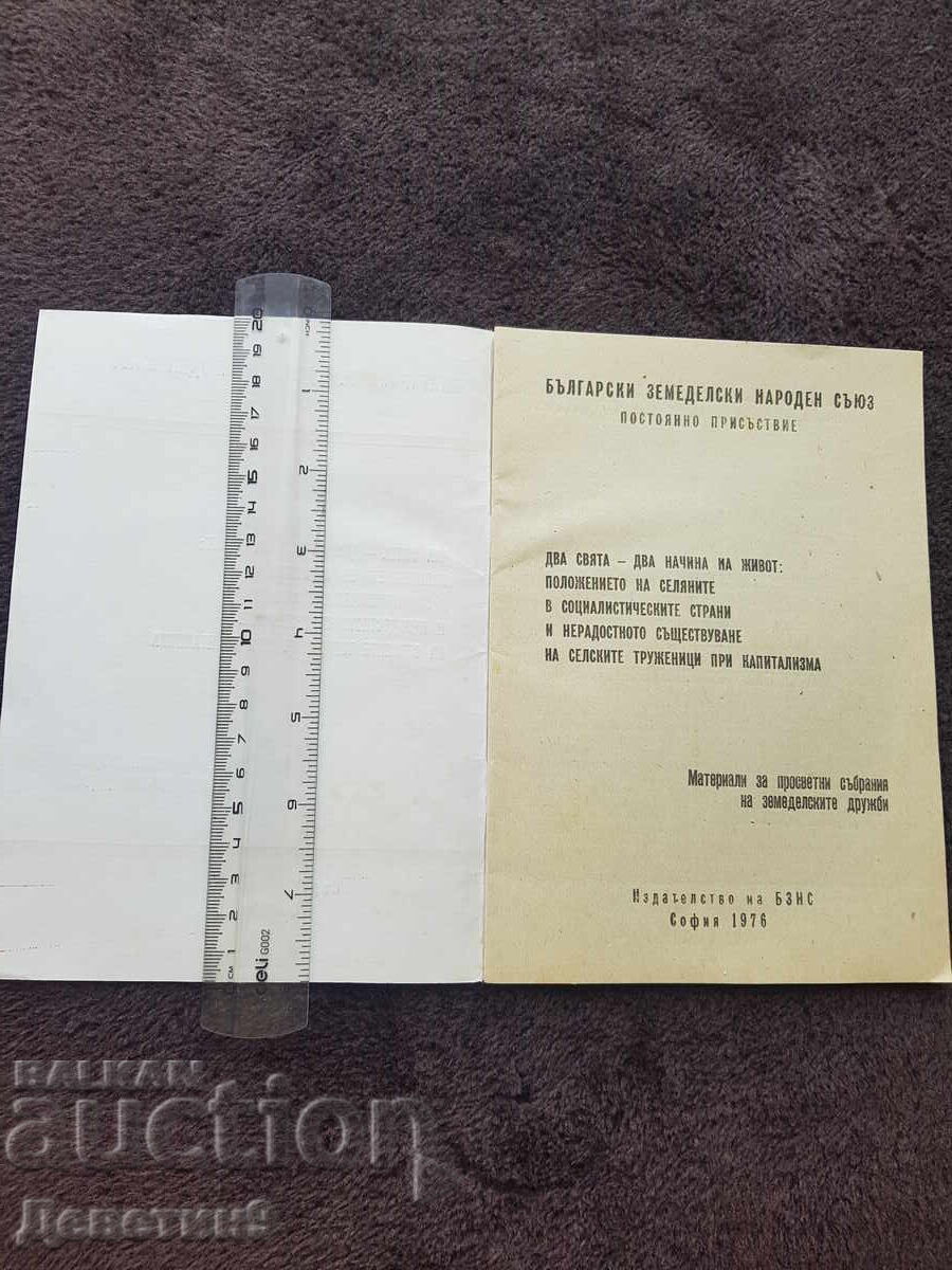Auction BUSINESS Permanent Presence - 1976 Auction BUSINESS Permanent Presence - 1976