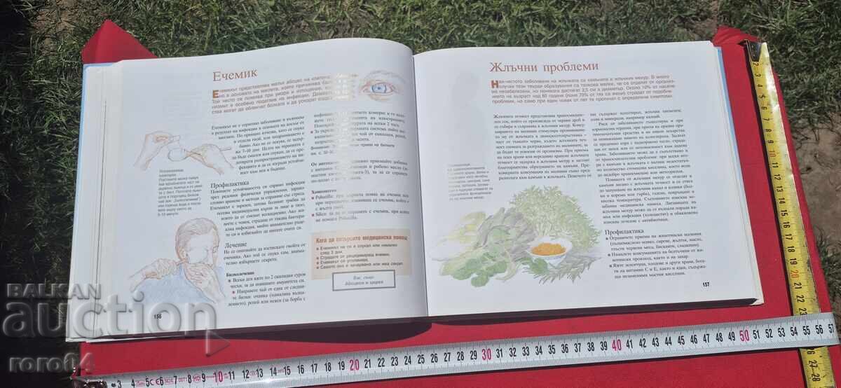 HEALTH THROUGH NATURE - HOME REMEDIES - 7