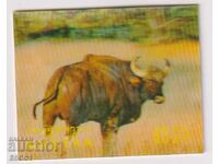 Καθαρό γραμματόσημο 3D στερεοφωνικό Fauna Buffalo 1970 από Μπουτάν