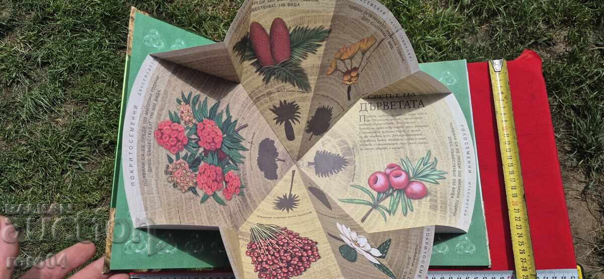 ΤΟ ΔΕΝΤΡΟ ΑΠΟ ΤΟ ΜΙΚΡΟ ΣΠΟΡΟ ΩΣ ΤΟ ΙΣΧΥΡΟ ΔΑΣΟΣ με τιμή 27.00 BGN | € 13.80