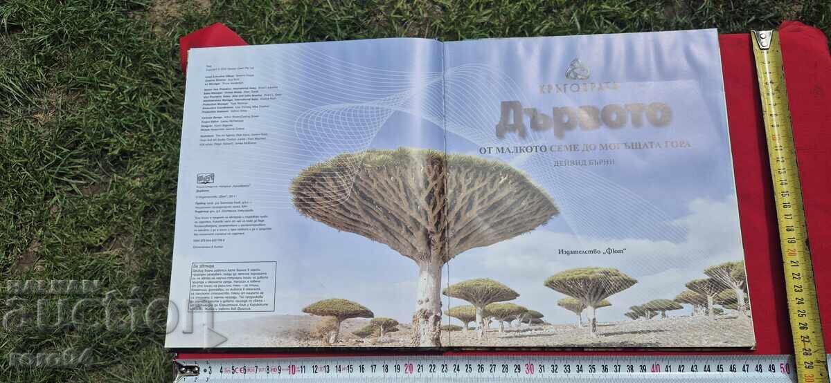 Δημοπρασία ΤΟ ΔΕΝΤΡΟ ΑΠΟ ΤΟ ΜΙΚΡΟ ΣΠΟΡΟ ΩΣ ΤΟ ΙΣΧΥΡΟ ΔΑΣΟΣ