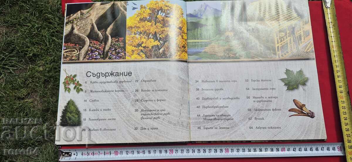 Παράδοση ΤΟ ΔΕΝΤΡΟ ΑΠΟ ΤΟ ΜΙΚΡΟ ΣΠΟΡΟ ΩΣ ΤΟ ΙΣΧΥΡΟ ΔΑΣΟΣ