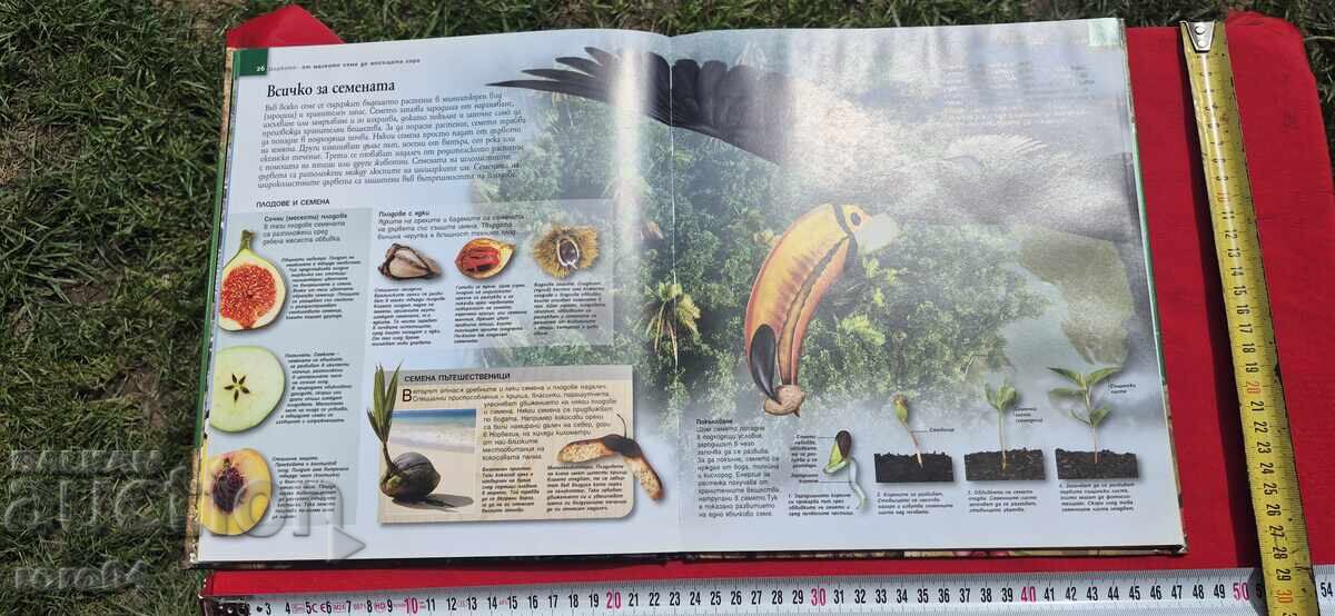 ΤΟ ΔΕΝΤΡΟ ΑΠΟ ΤΟ ΜΙΚΡΟ ΣΠΟΡΟ ΩΣ ΤΟ ΙΣΧΥΡΟ ΔΑΣΟΣ - 6