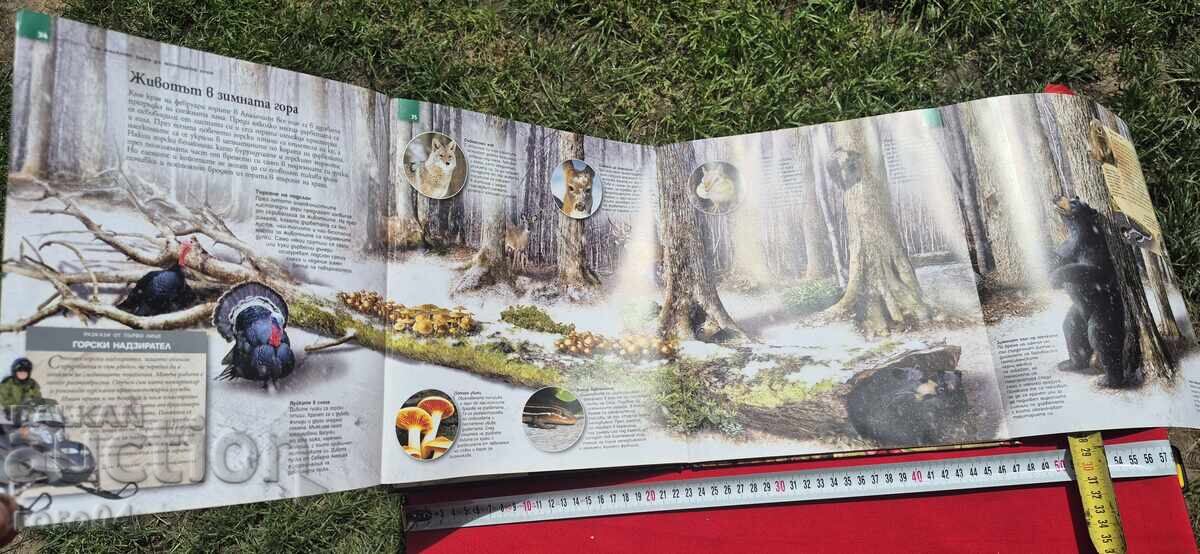 ΤΟ ΔΕΝΤΡΟ ΑΠΟ ΤΟ ΜΙΚΡΟ ΣΠΟΡΟ ΩΣ ΤΟ ΙΣΧΥΡΟ ΔΑΣΟΣ - 7