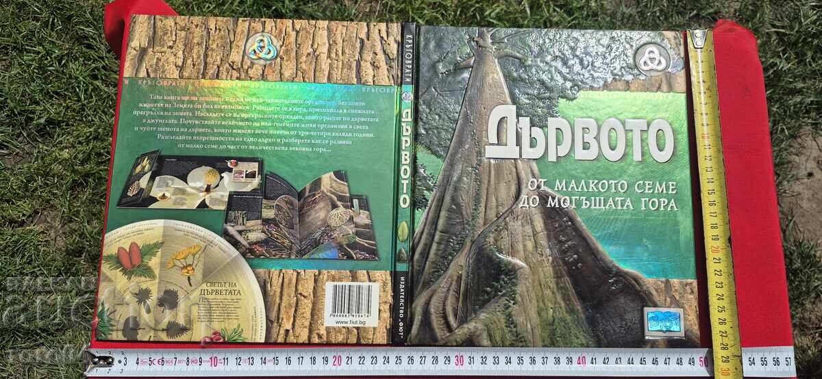 ΤΟ ΔΕΝΤΡΟ ΑΠΟ ΤΟ ΜΙΚΡΟ ΣΠΟΡΟ ΩΣ ΤΟ ΙΣΧΥΡΟ ΔΑΣΟΣ