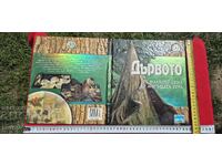 ДЪРВОТО ОТ МАЛКОТО СЕМЕ ДО МОГЪЩАТА ГОРА