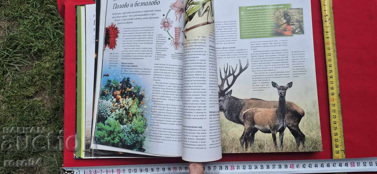 THE AMAZING SECRETS OF NATURE - READER'S DIGEST - 7