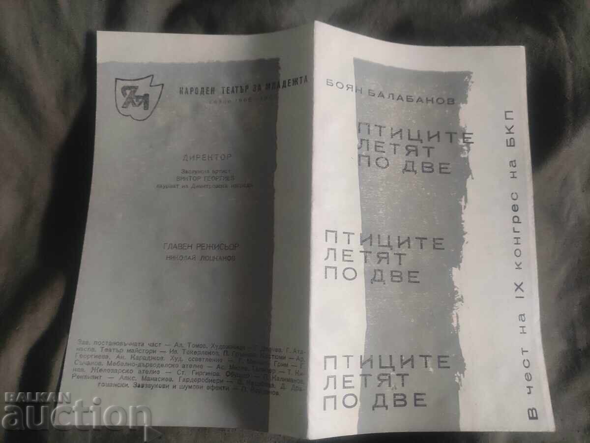 National Youth Theatre: Birds Fly in Pairs