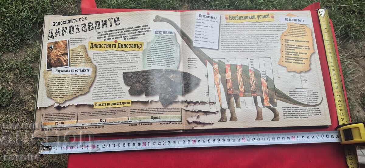 Δημοπρασία ΕΞΑΙΡΕΤΙΚΟΙ ΔΕΙΝΟΣΑΥΡΟΙ - ΡΟΜΠΕΡΤ ΜΑΣ