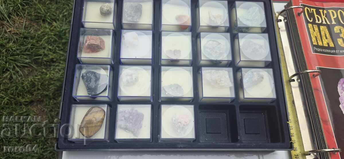 Licitație COMORILE PĂMÂNTULUI