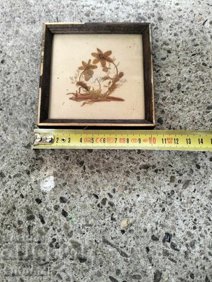 Flori presate englezești în ramă cu preț € 4.99 | 9.76 BGN Flori presate englezești în ramă cu preț € 4.99 | 9.76 BGN