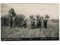 Sofia harvest ethnography beat costumes Paskov postcard