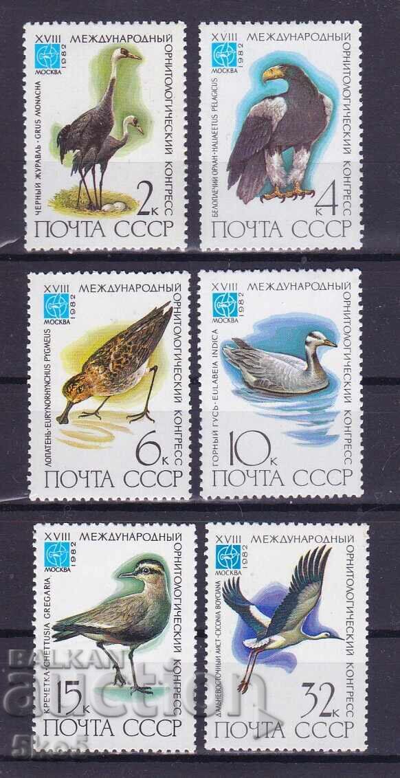 СССР- 1982 г.- ПТИЦИ  - **/MNH