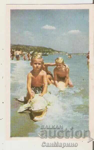 Bulgaria Black Sea Coast Postcard 8*