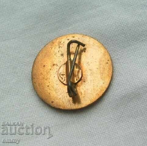 Δημοπρασία Σήμα Ρουμανίας - Κύπελλο ποδοσφαίρου για νέους κάτω των 18 ετών, 1976