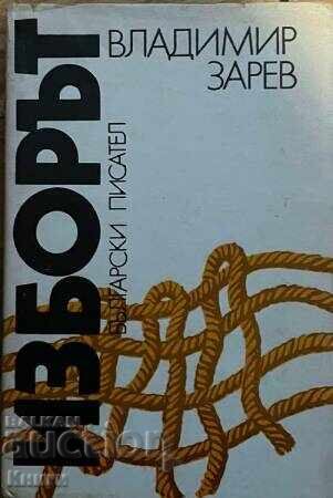 The choice - Vladimir Zarev