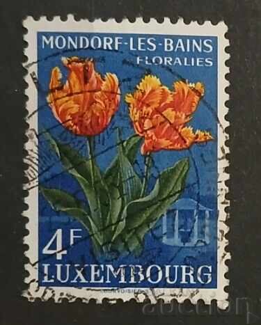 Λουξεμβούργο Φλόρα/Λουλούδια