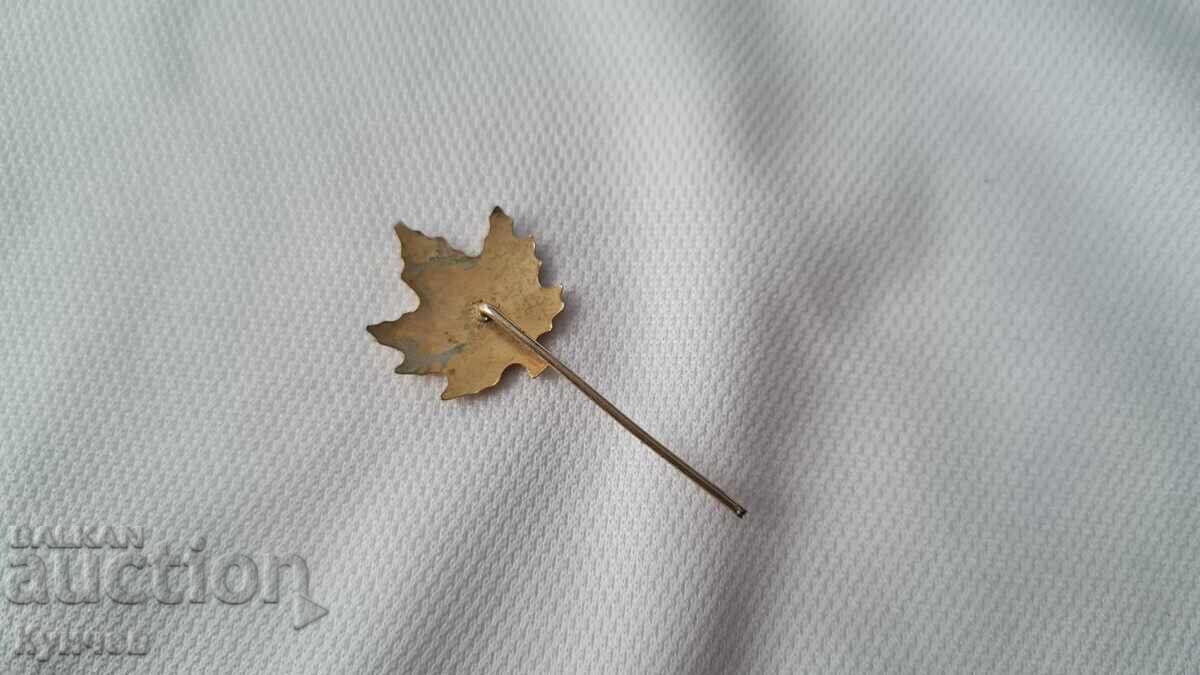 Emblemă Canada, frunză de arțar, Toronto cu preț 4.00 BGN | € 2.05 Emblemă Canada, frunză de arțar, Toronto cu preț 4.00 BGN | € 2.05