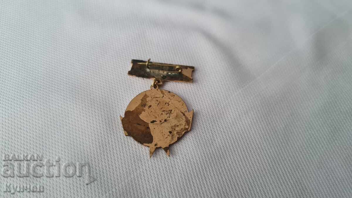 Insigna Radetzky, navă, pionieri, comunistă cu preț 4.00 BGN | € 2.05