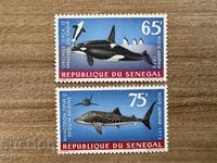 Σενεγάλη - Θαλάσσια Ζώα (1972) MNH