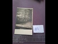 Εικόνα/Φωτογραφία - Καρτ ποστάλ Κλεφτούζα 1929