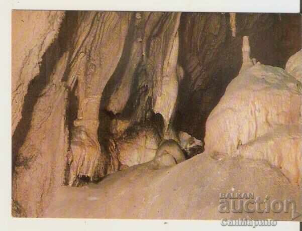 Картичка България Пещерата "Леденика" - Ръката на великана Картичка България Пещерата "Леденика" - Ръката на великана