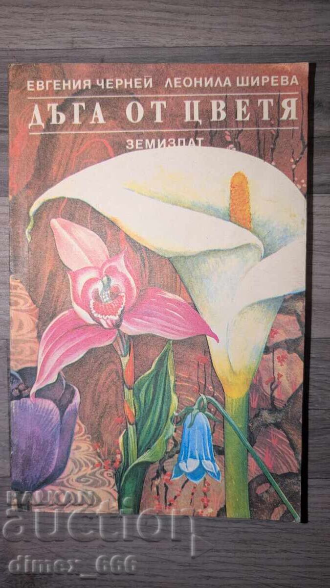 Δόξα από λουλούδια Ευγενία Τσερνέι, Λεονίλα Σιρέβα