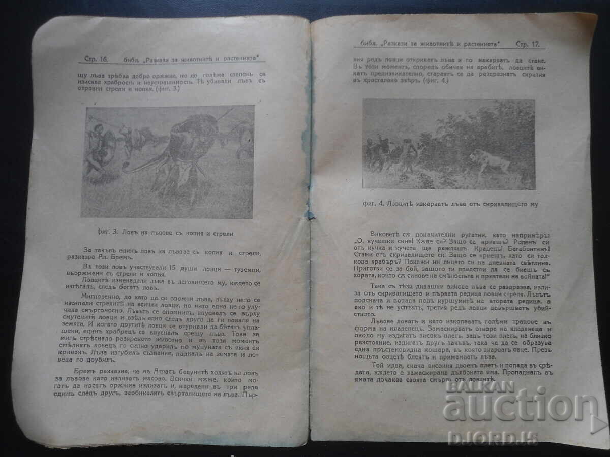 С филмовъ апаратъ по дирите на лъва..., Кн.1, от 1934 год. с цена 10.00 лв. | € 5.11