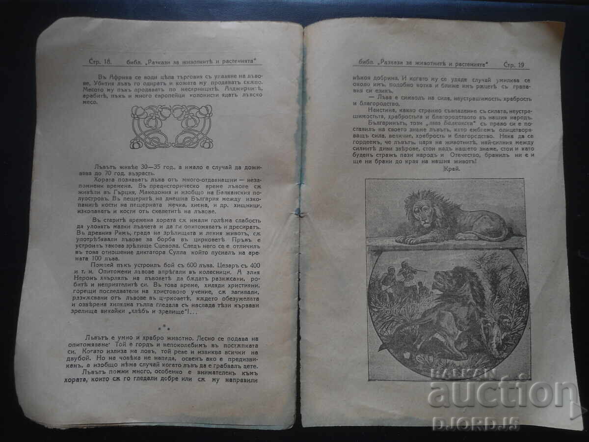 Аукцион С филмовъ апаратъ по дирите на лъва..., Кн.1, от 1934 год.