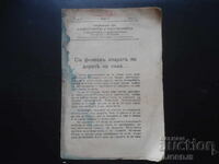 Cu aparat de filmat pe urmele leului..., Vol. 1, din 1934