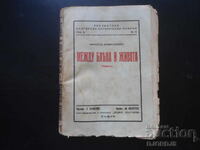 Μεταξύ μπλε και ζωής, Νικόλα Αλεξίεφŭ