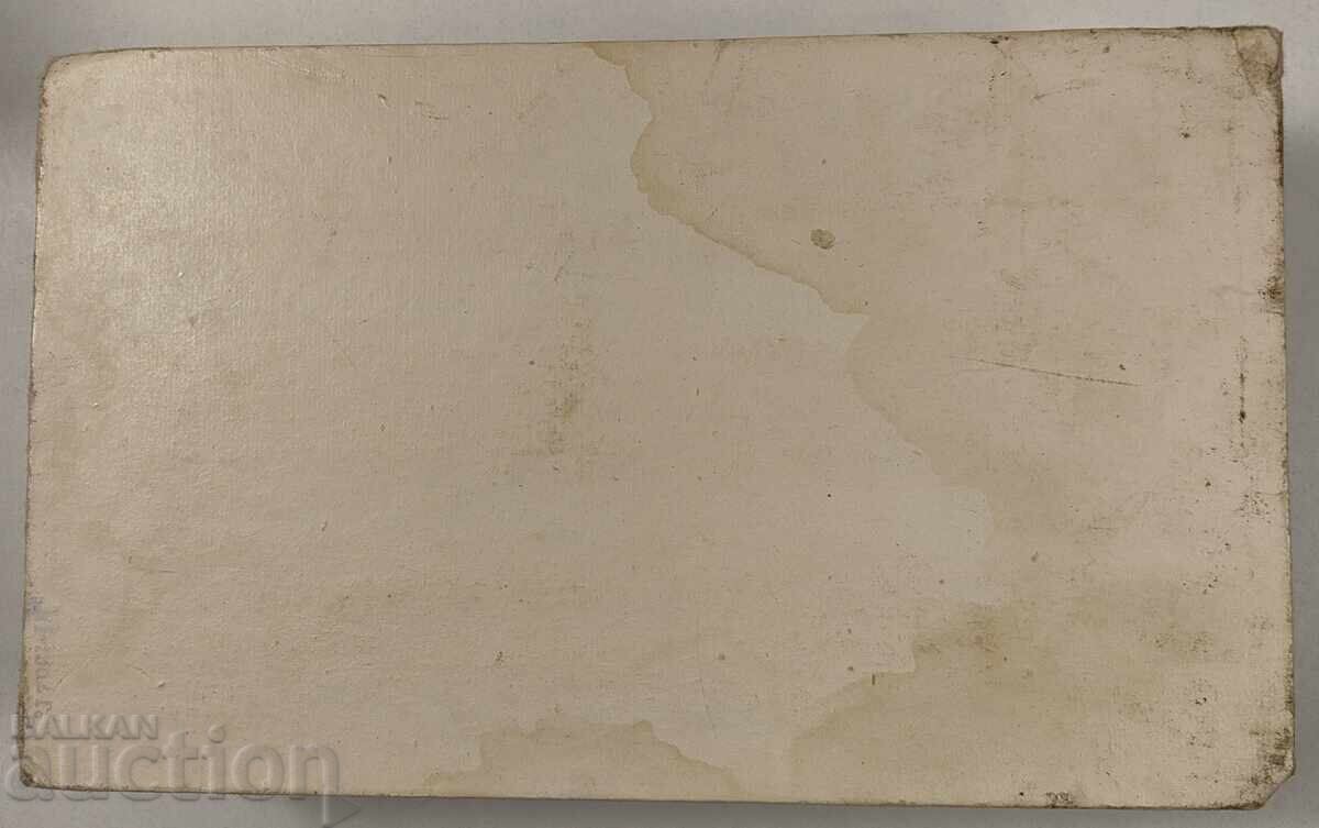 SET PERIUTE DINȚI PENTRU ALBĂ ZĂPADA PENTRU COPII Cutie goală Pitic SOC - 7