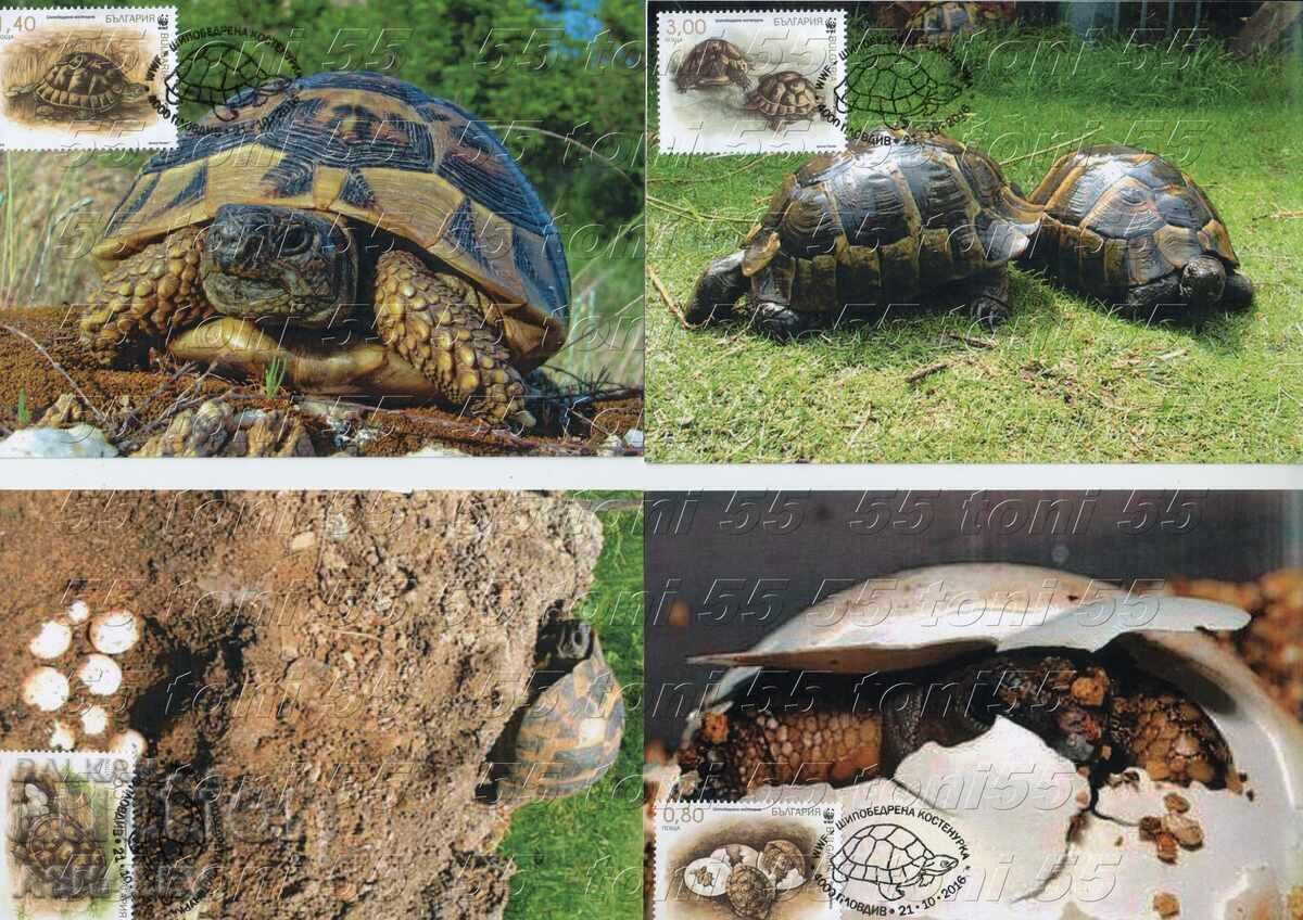 2016 WWF-χελώνες, συγγρ. 4 φύλλα το πολύ 2016 WWF-χελώνες, συγγρ. 4 φύλλα το πολύ