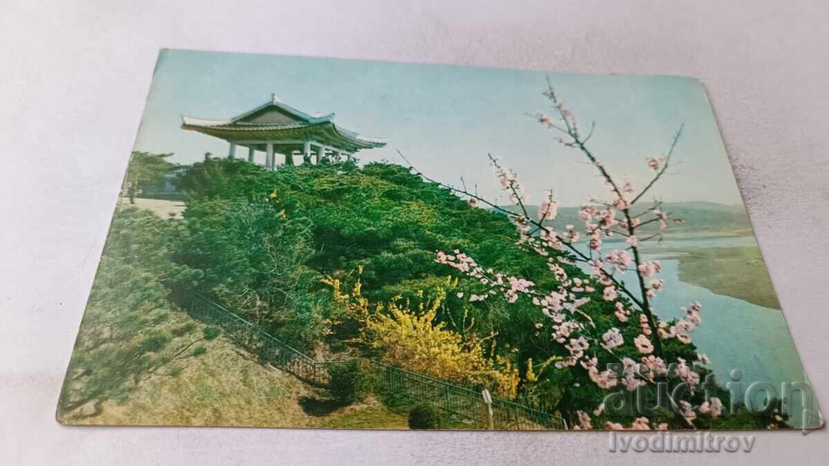 Pyongyang La Colina Mankiongbong in Spring