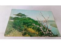 Pyongyang La Colina Mankiongbong in Spring