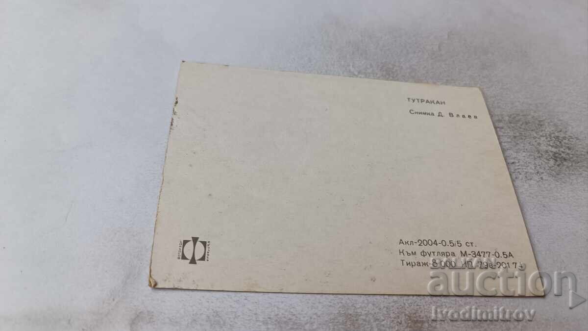 Carte poștală Tutrakan cu preț 0.75 BGN | € 0.38 Carte poștală Tutrakan cu preț 0.75 BGN | € 0.38